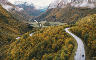 Veterinærkrisa avblåst?