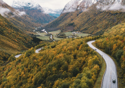 Veterinærkrisa avblåst?