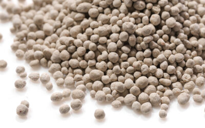 Nok N-gjødsel – enn så lenge