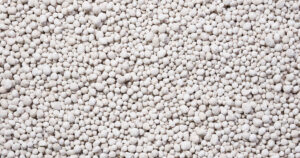 Foto: Istock / :piotrszczepanekfotoart