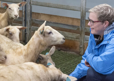 Fjelltveit: Bonde = beredskap
