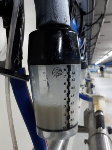 Rekord for tørrstoff: Danske kyr produserte nærare 900 kilo feitt og protein per ku førre år. Foto: VikingDanmark.