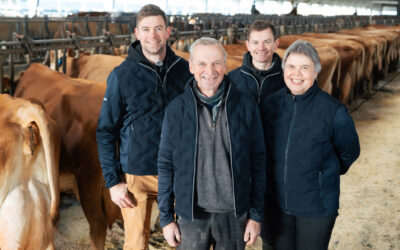 Adelgaard Jersey: 39 kyr over 100 tonn EKM