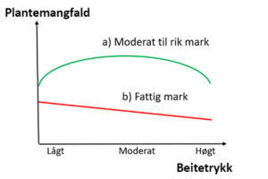 Samanheng mellom plantemangfald og beitetrykk (etter Bjor og Graffer 1963).