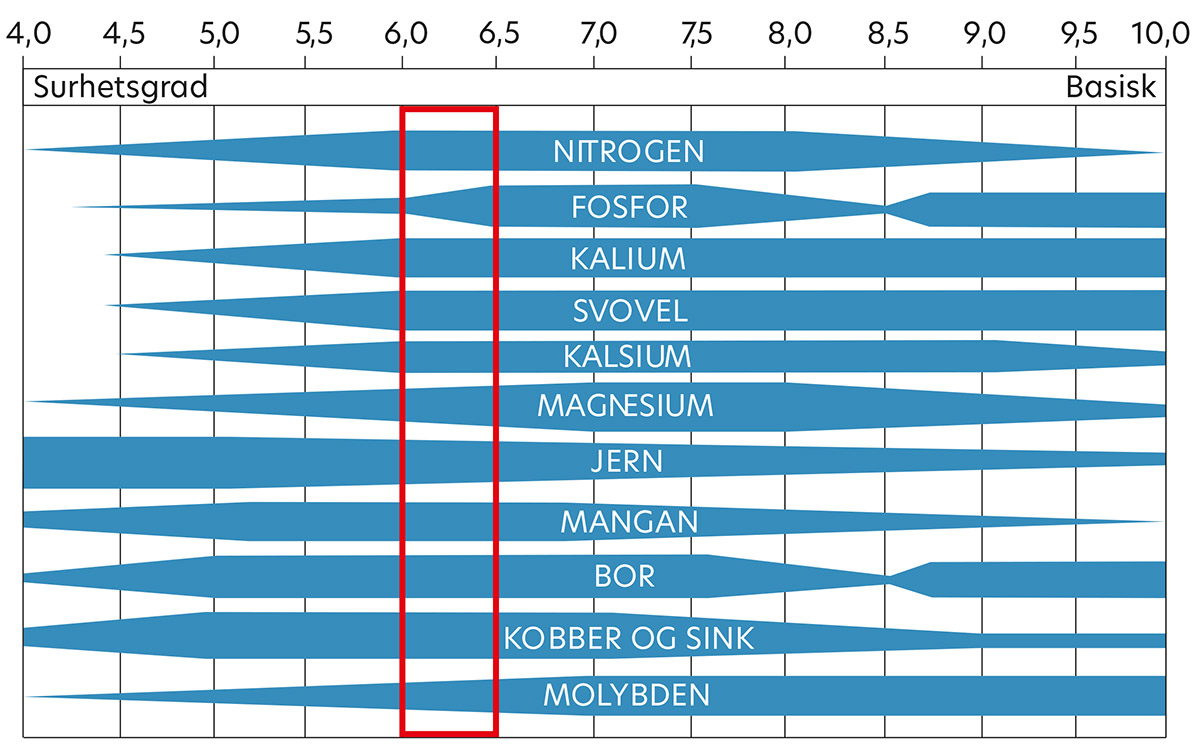 Figuren viser samanhengen mellom pH i mineraljord og plantene si evne til å ta opp nærings­stoff. Jo meir grønt det er i feltet, dess meir tilgjengeleg er næringsstoffa for plantene.<br />
Kilde: Fakta ark; Kalk og kalking, Grovfôr 2020.
