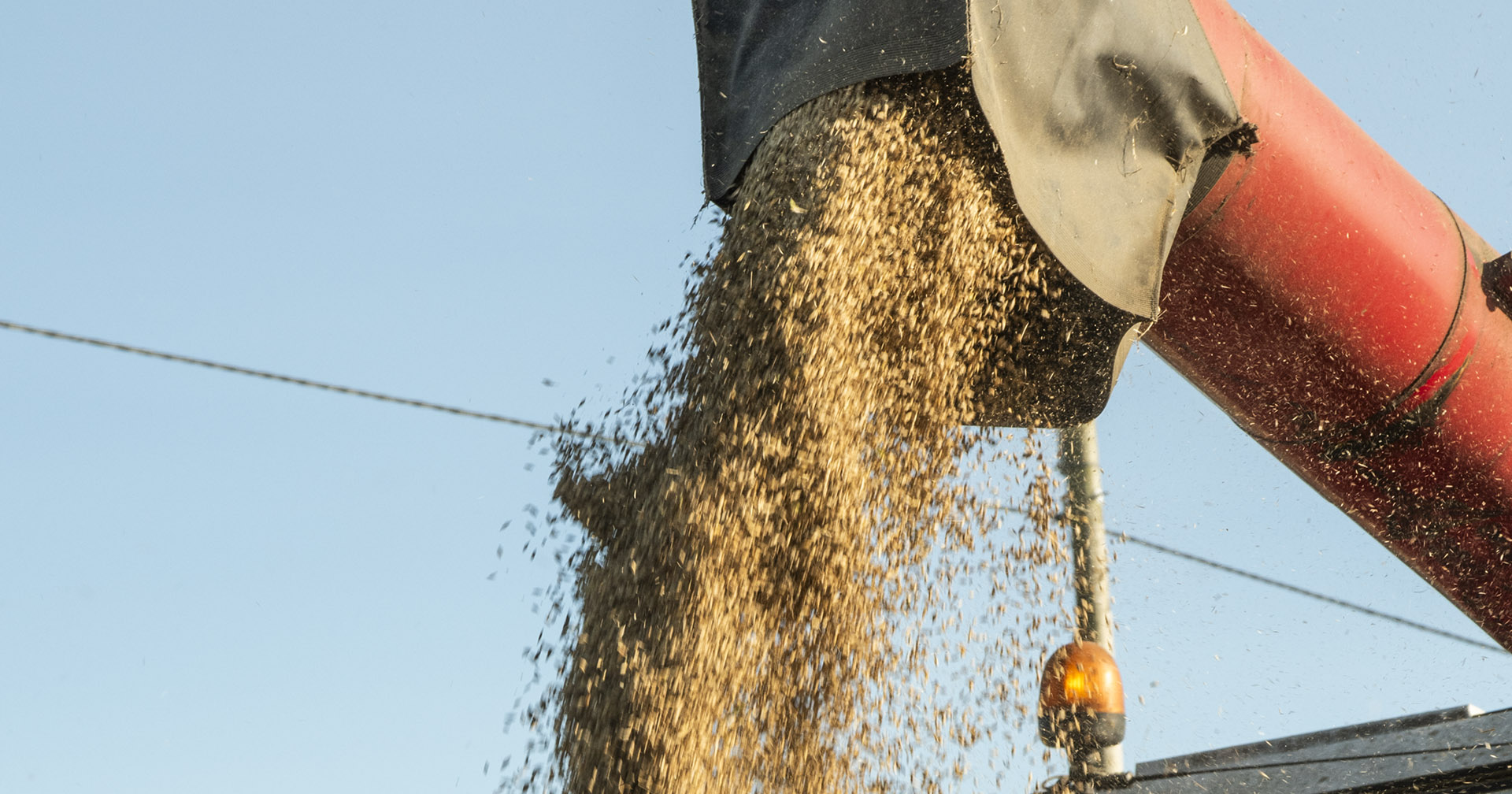 Korn: Treng meir norskprodusert – og høgare kvalitet