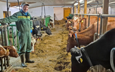 Skal, skal ikkje investere