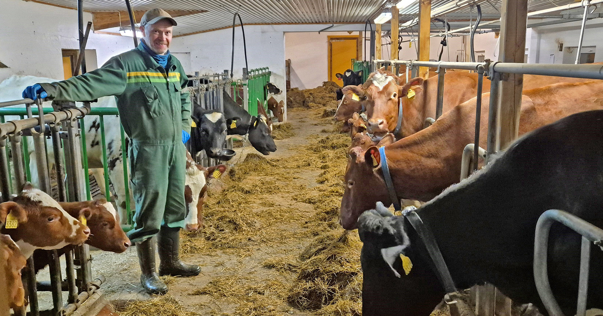 Skal, skal ikkje investere