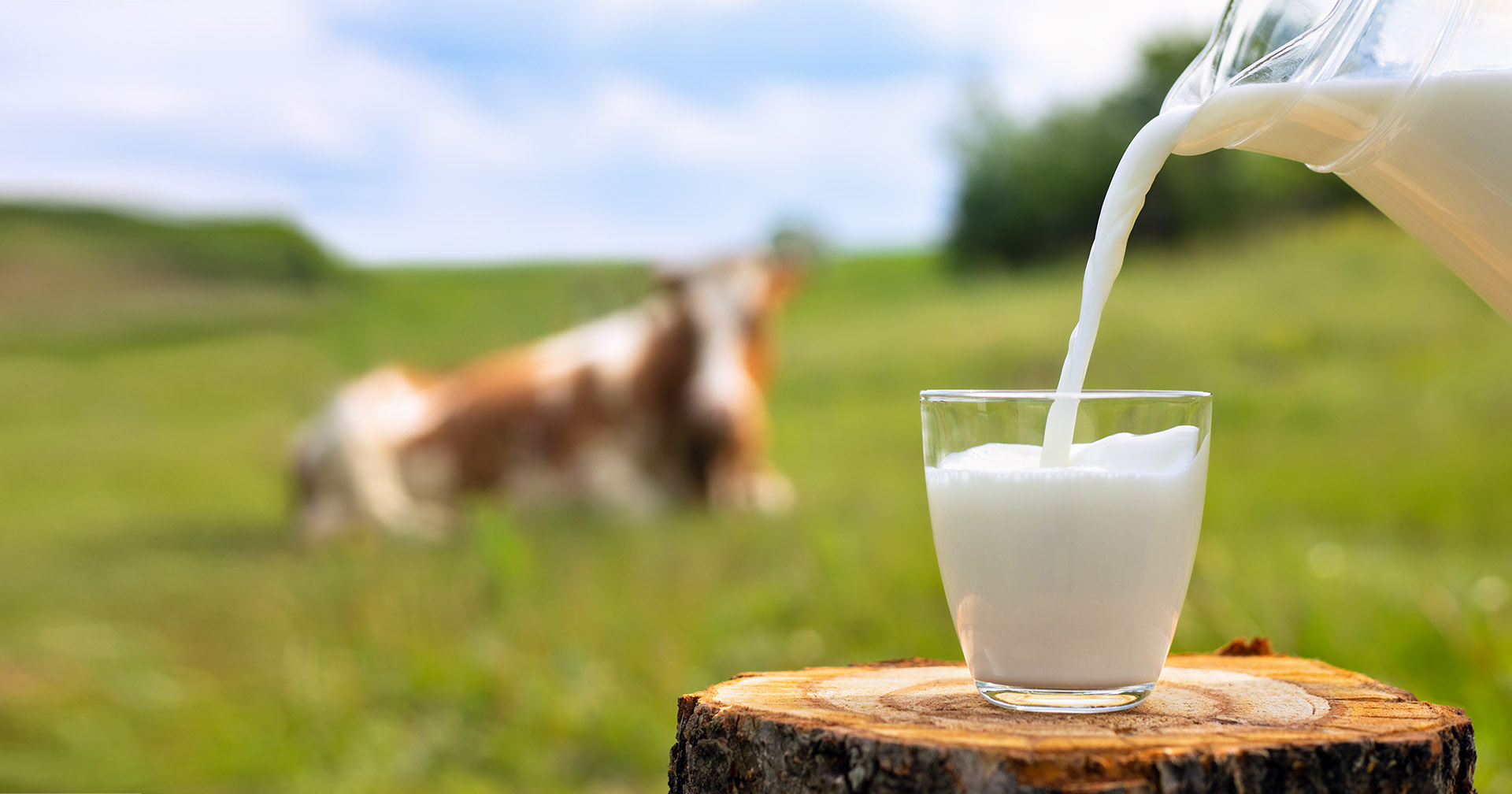 Økologisk eller konvensjonelt?