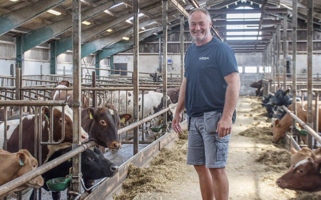 – Må ha is i magen