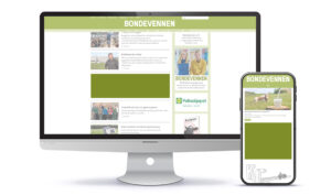 Banner stor