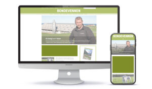 Nettannonse stor