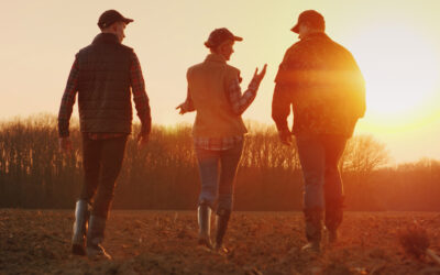 Gårdsoverdragelse