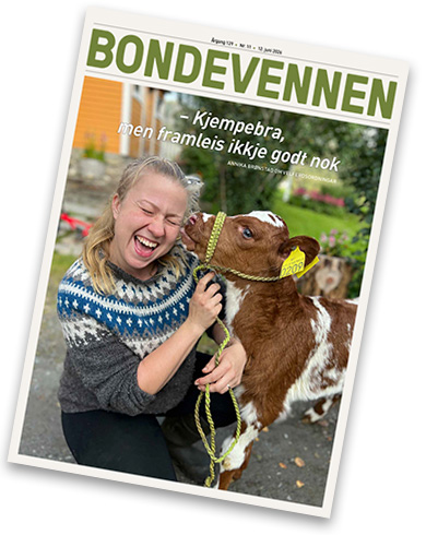 BV nr 11 – 12. juni 2026