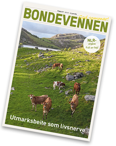 BV nr 12 – 26. juni 2026