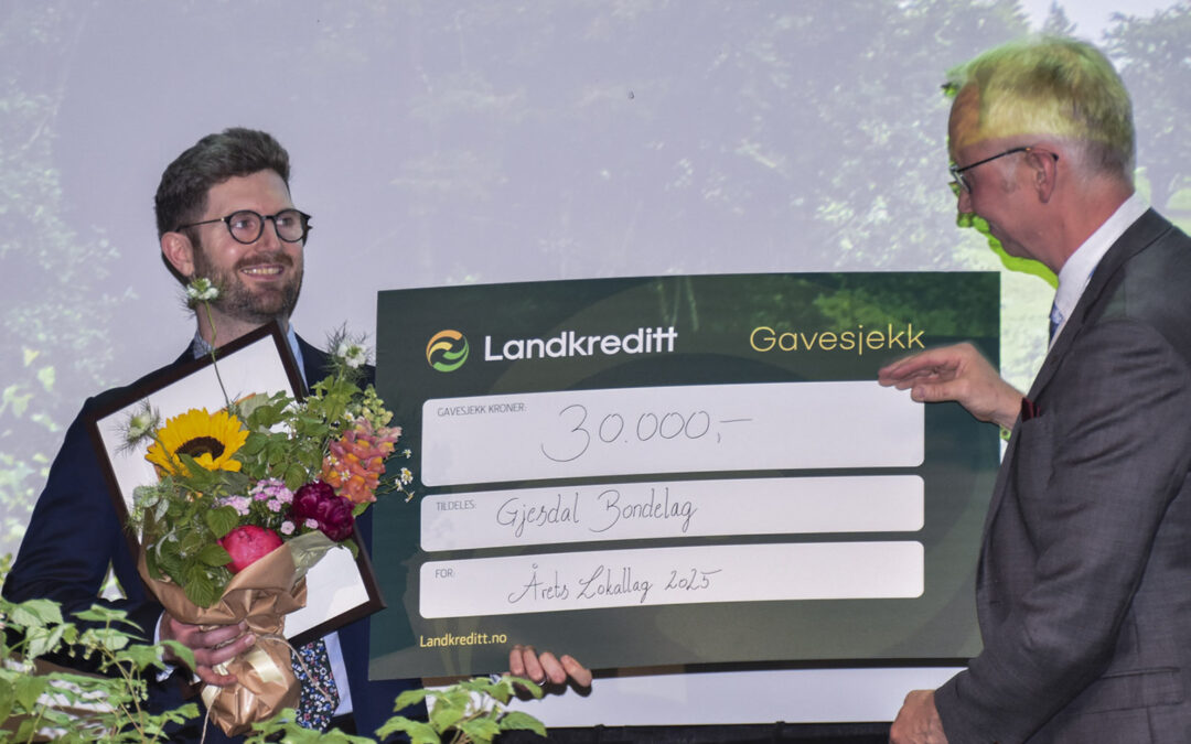 Gode råd frå eit lokallag i vinden