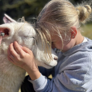 God hjelp i fjøset: Cecilie og Josefine liker seg godt saman med dyra. Dei er gjerne med i fjøset og tek i eit tak. Då Annika var høggravid hjalp Josefine til med mjølking og vasking.Foto: Privat