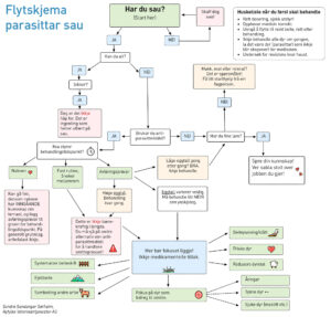 Flytskjema parasittar sau