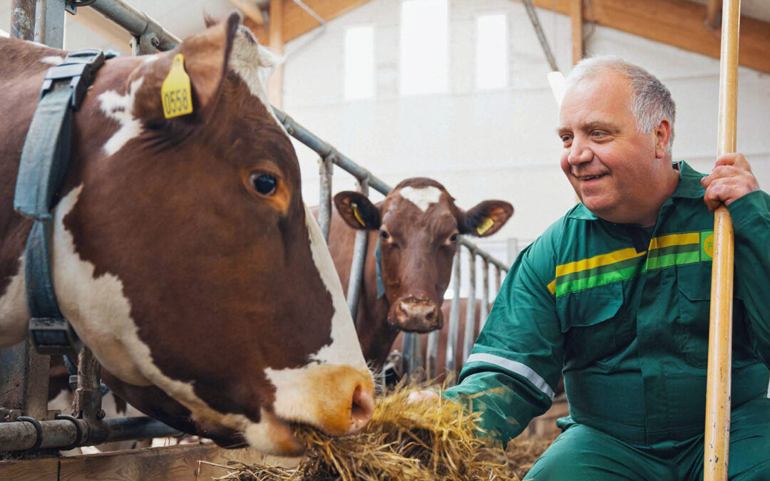 Formel Mjølkestart for bedre helse og produksjon