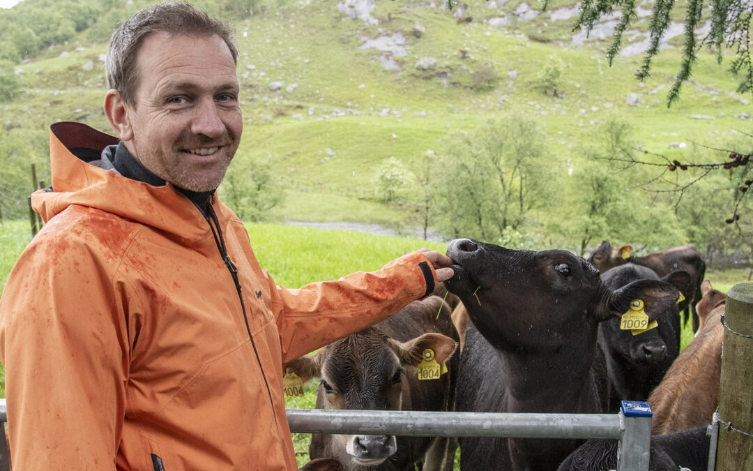 Brennande engasjert i kystlynghei