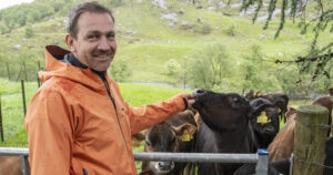 Jersey: Ole Anton Liverud starta karrieren som bonde med ei NRF-besetning, men har gradvis bytta rase. Jerseykyrne passar betre inn i driftsopplegget på garden.