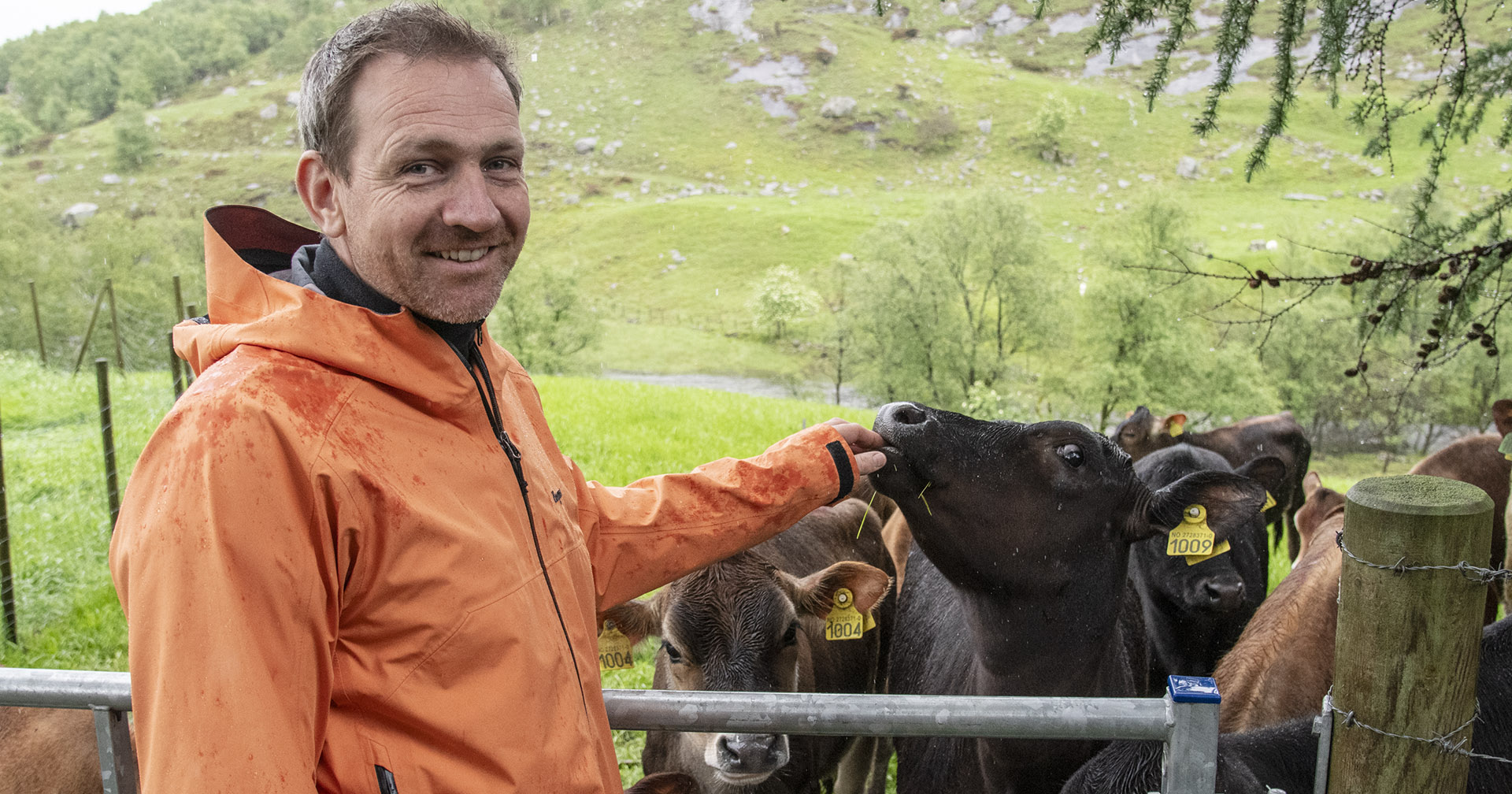Brennande engasjert i kystlynghei