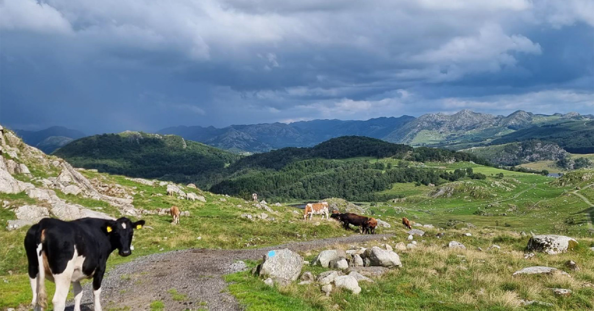 Beitekommunar vil ut or kornsona