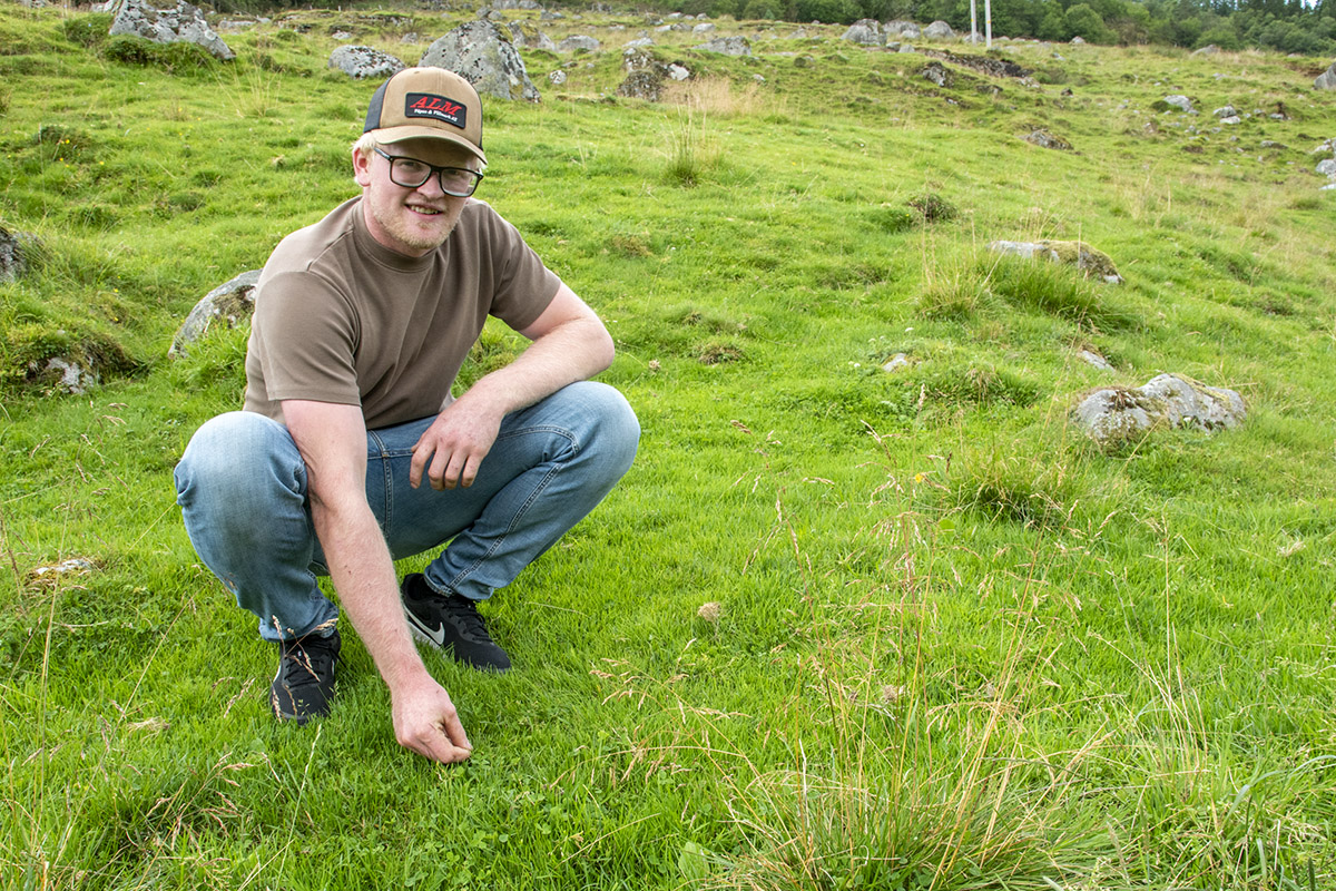 Brukt i generasjonar: Beitet har vore gjødsla og stelt i 100 år, seier Håkon Skjærpe, og syner fram den friske grasbotnen med næringsrik ku-føde.