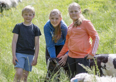 Eit ungt sommarliv  på garden
