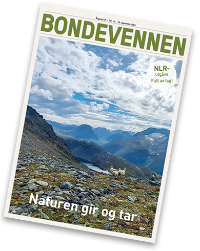 BV nr 16 – 25. september 2026