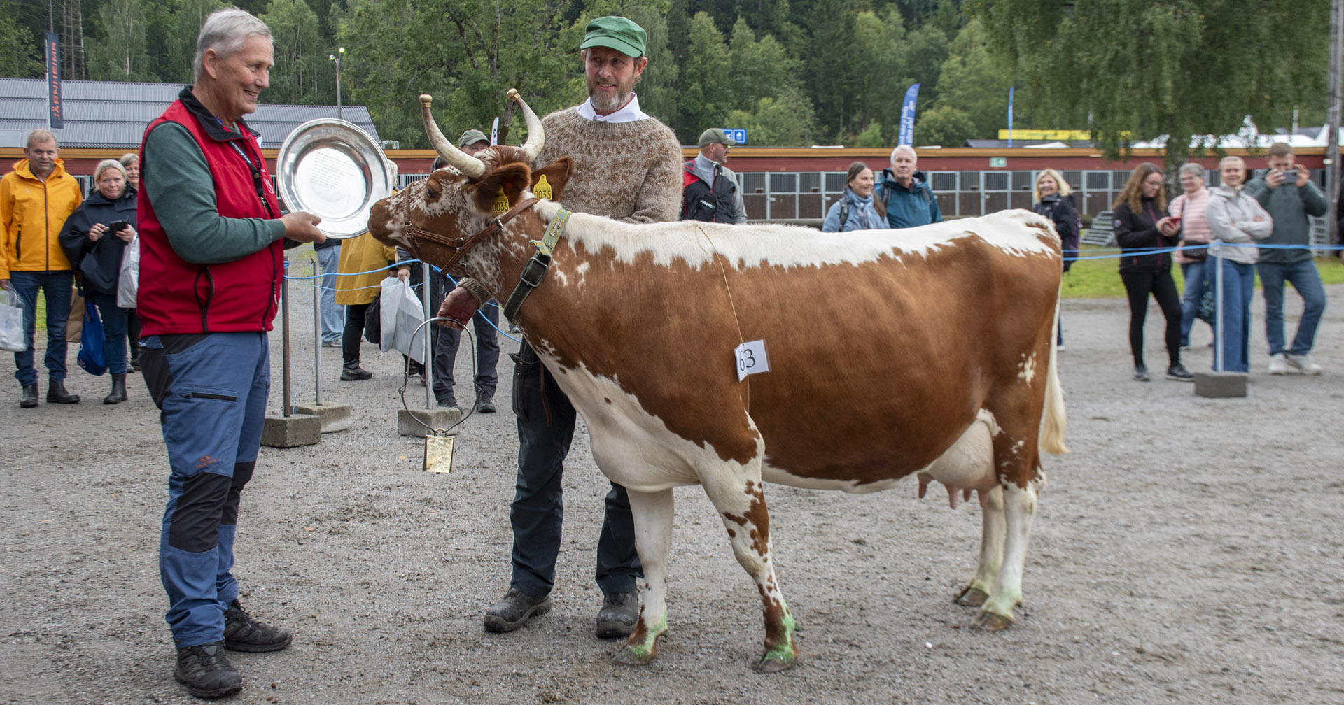 Dronninga av Dyrsku’n