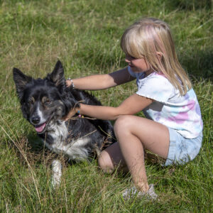 Hund og sau: Det er veldig praktisk med en sauehund som Saga på en sauegård. Elina trener Saga som gjeterhund, mens Anna (8) tar seg av kosen.