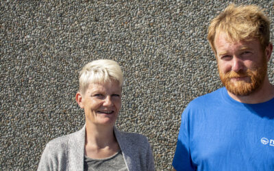 Liv laga på Lista