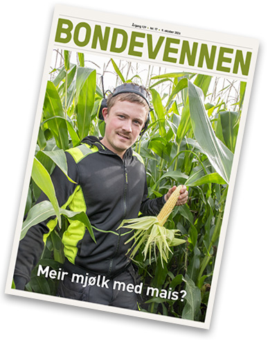 BV nr 17 – 9. oktober 2026