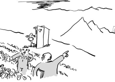 Fosforreglane må ta omsyn  til avlingane