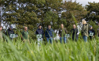 Lengre vekstsesong gir  ikkje gratis grovfôrgevinst