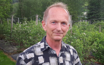 Grøfting kan friskmelda vassjuk jord