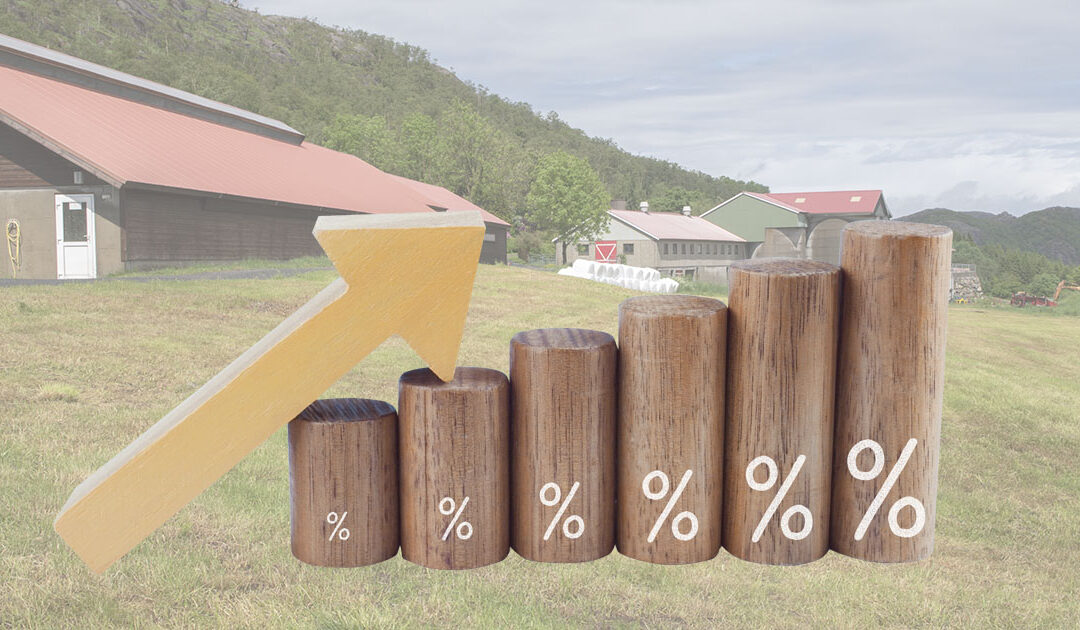 Renteauke rammar likviditeten